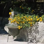 Villa Charming In Olbia With Shared Pool And Garden