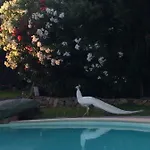 Charming In Olbia With Shared Pool And Garden