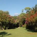 Villa Charming In Olbia With Shared Pool And Garden Porto Rotondo