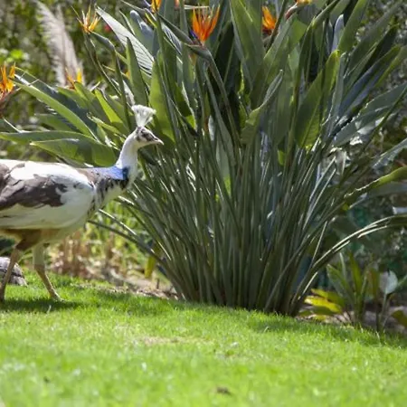 Charming In Olbia With Shared Pool And Garden 빌라