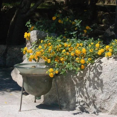 Vila Charming In Olbia With Shared Pool And Garden