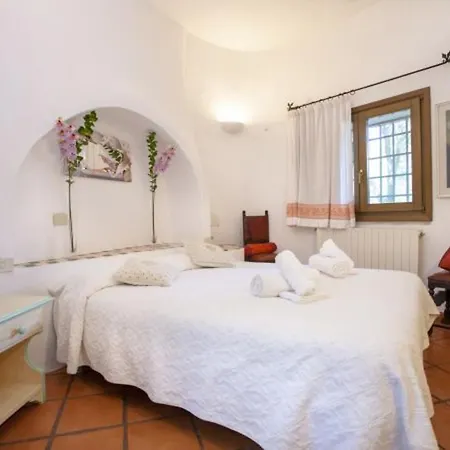 Charming In Olbia With Shared Pool And Garden Vila