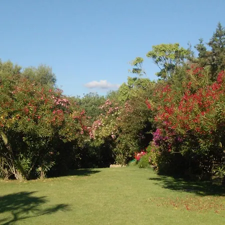 Vila Charming In Olbia With Shared Pool And Garden Porto Rotondo