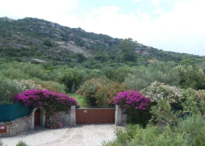 Charming In Olbia With Shared Pool And Garden * 포르투로톤도