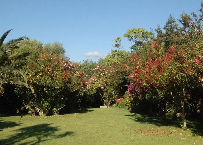 빌라 Charming In Olbia With Shared Pool And Garden 포르투로톤도