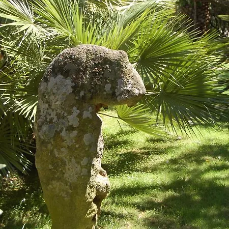 Charming In Olbia With Shared Pool And Garden Villa