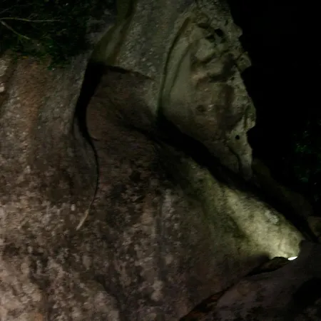 Villa Charming In Olbia With Shared Pool And Garden Porto Rotondo