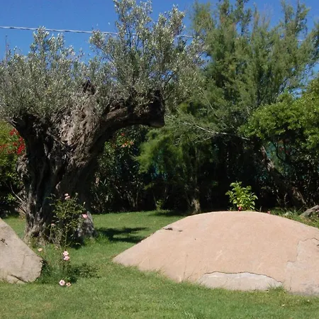 Vila Charming In Olbia With Shared Pool And Garden Porto Rotondo