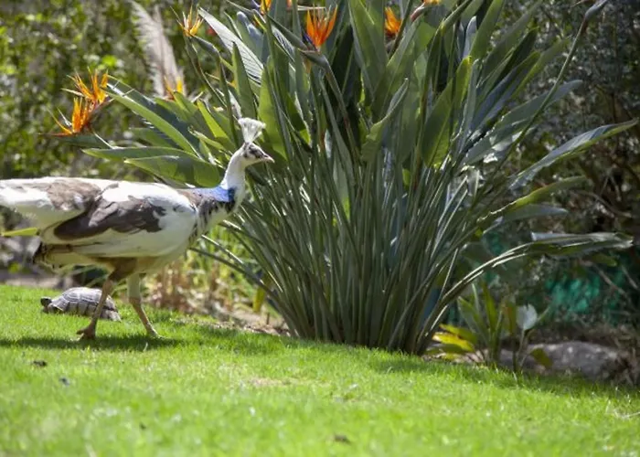 Charming In Olbia With Shared Pool And Garden فيلة