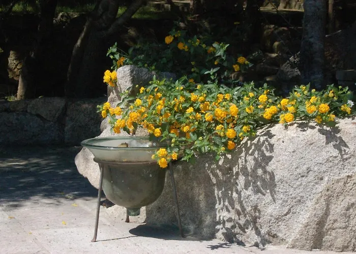 Villa Charming In Olbia With Shared Pool And Garden