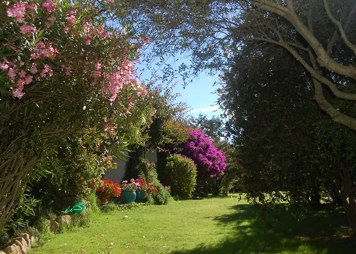 Charming In Olbia With Shared Pool And Garden بورتو روتوندو