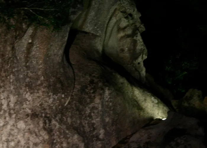 فيلة Charming In Olbia With Shared Pool And Garden بورتو روتوندو